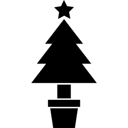 noel5249