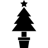 noel5249