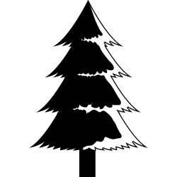 noel5250