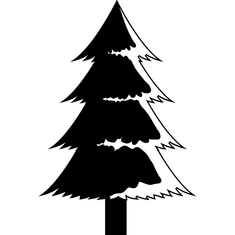 noel5250