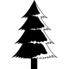 noel5250