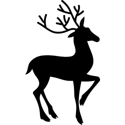 noel5261