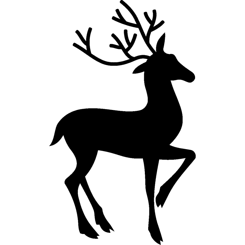 noel5261