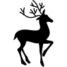 noel5261