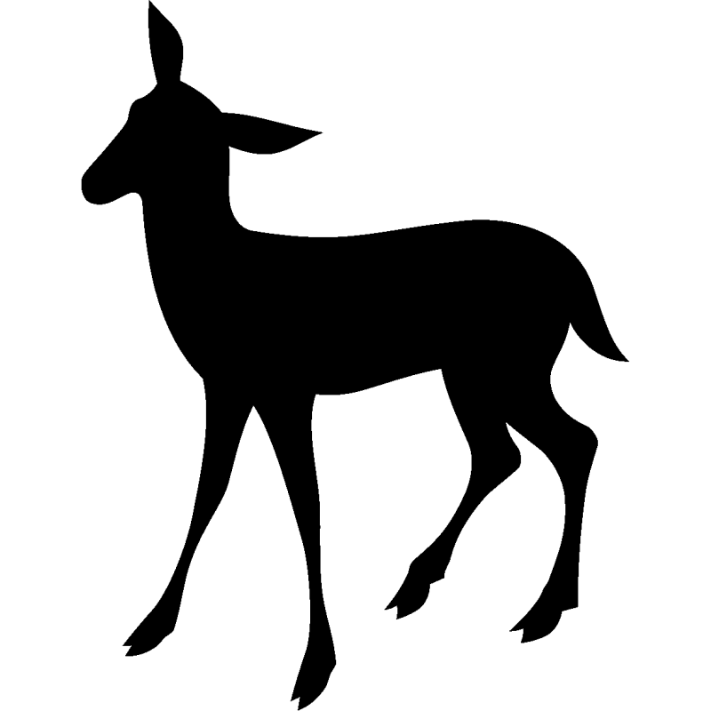 noel5262