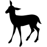 noel5262