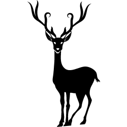 noel5263