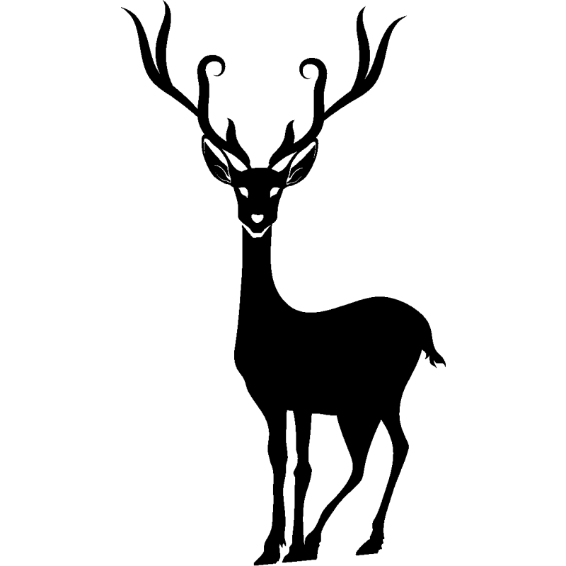 noel5263