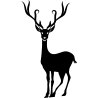 noel5263