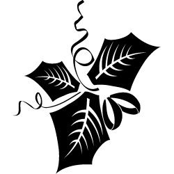 noel5274