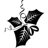 noel5274