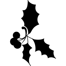 noel5275