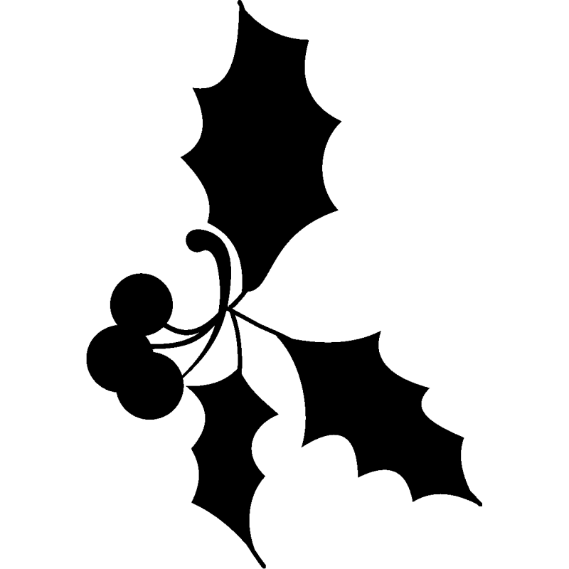 noel5275