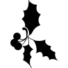 noel5275