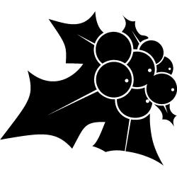 noel5276