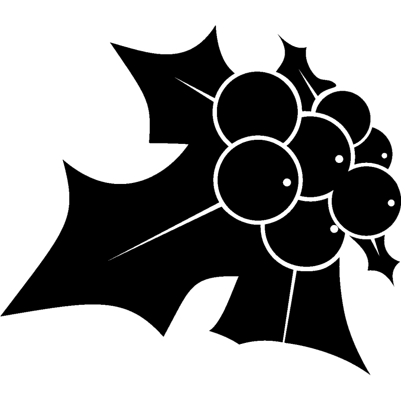 noel5276