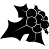 noel5276