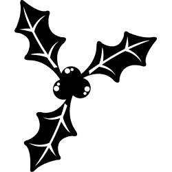 noel5277