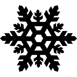 noel5285