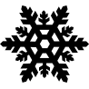 noel5285