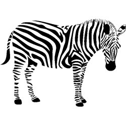 plante249