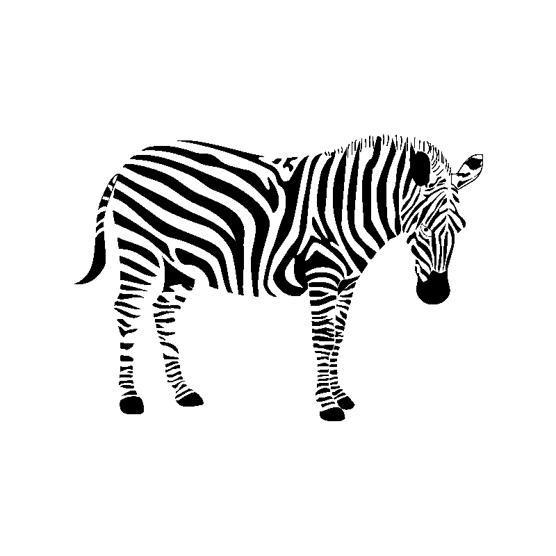 plante249