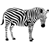 plante249
