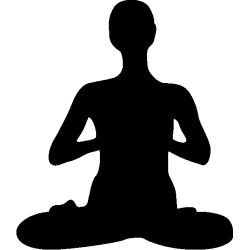 zen267