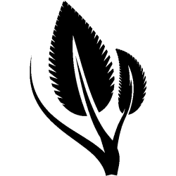 vegetal 5347