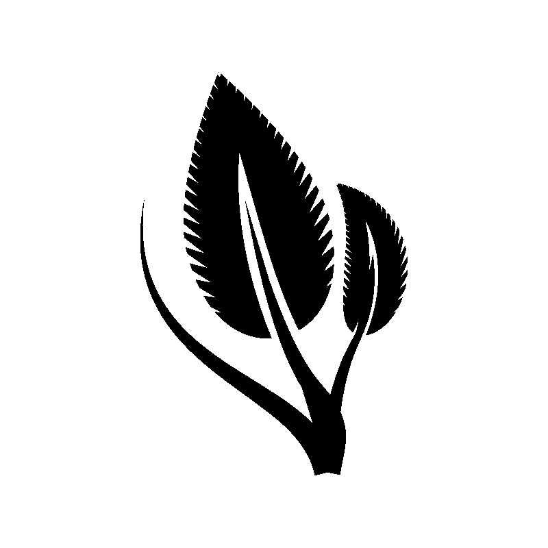 vegetal 5347