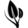 vegetal 5347