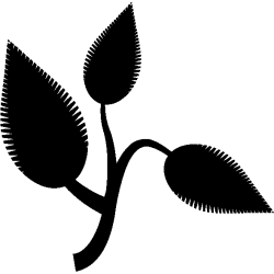vegetal 5349