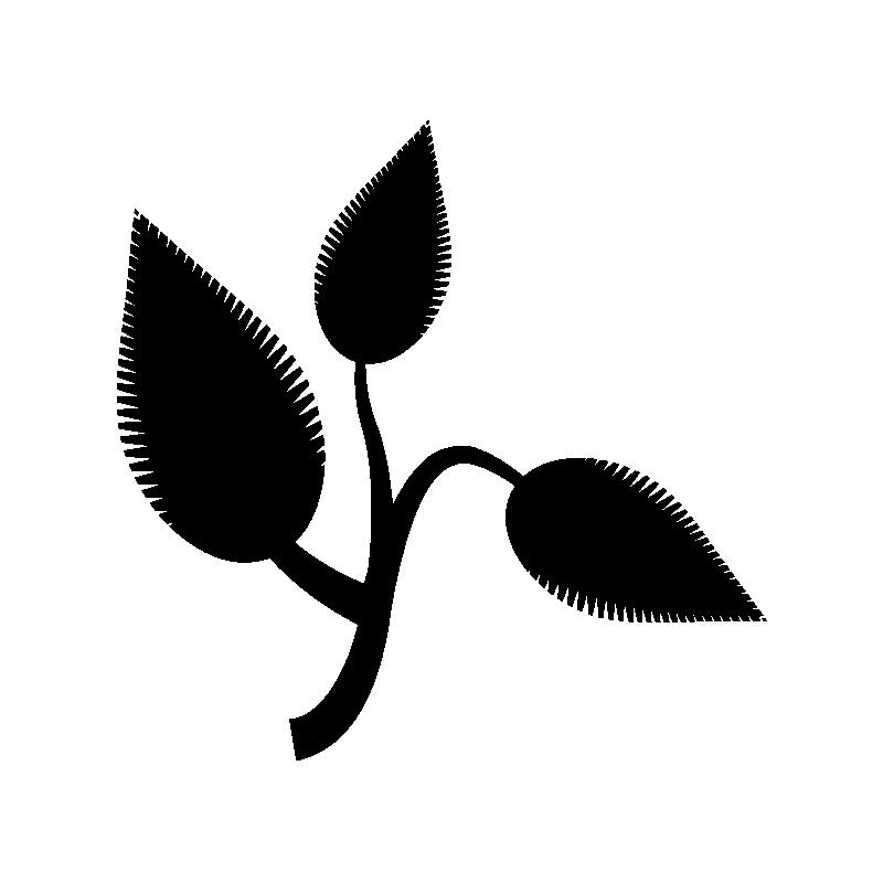 vegetal 5349
