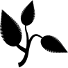 vegetal 5349