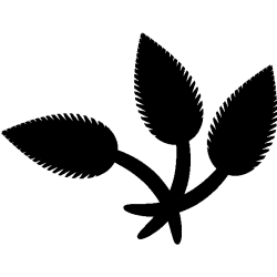 vegetal 5352
