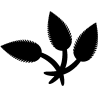 vegetal 5352