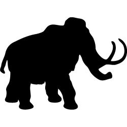 Vahiné