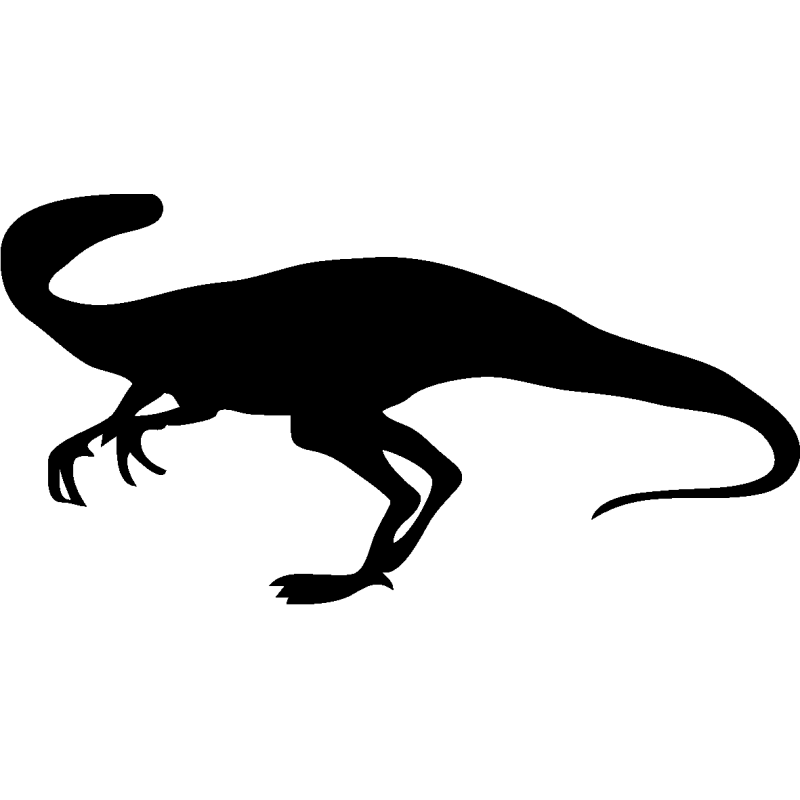 dyno 5381