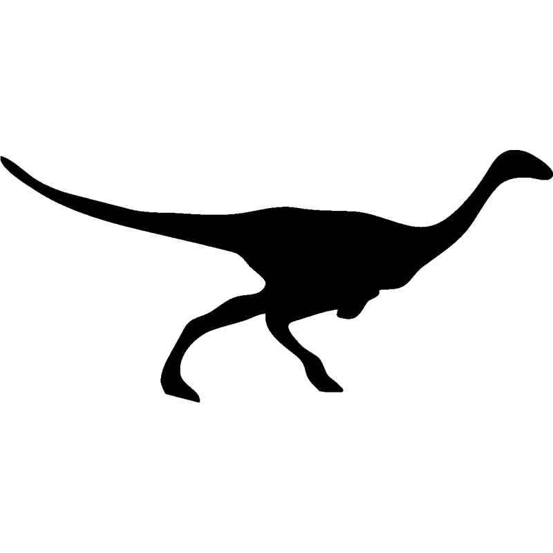 dyno 5382