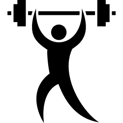 wapiti 5431