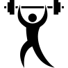 wapiti 5431