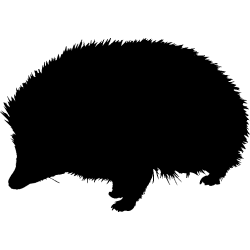 herisson1