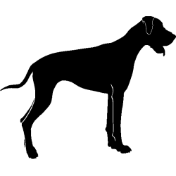 peche 5466