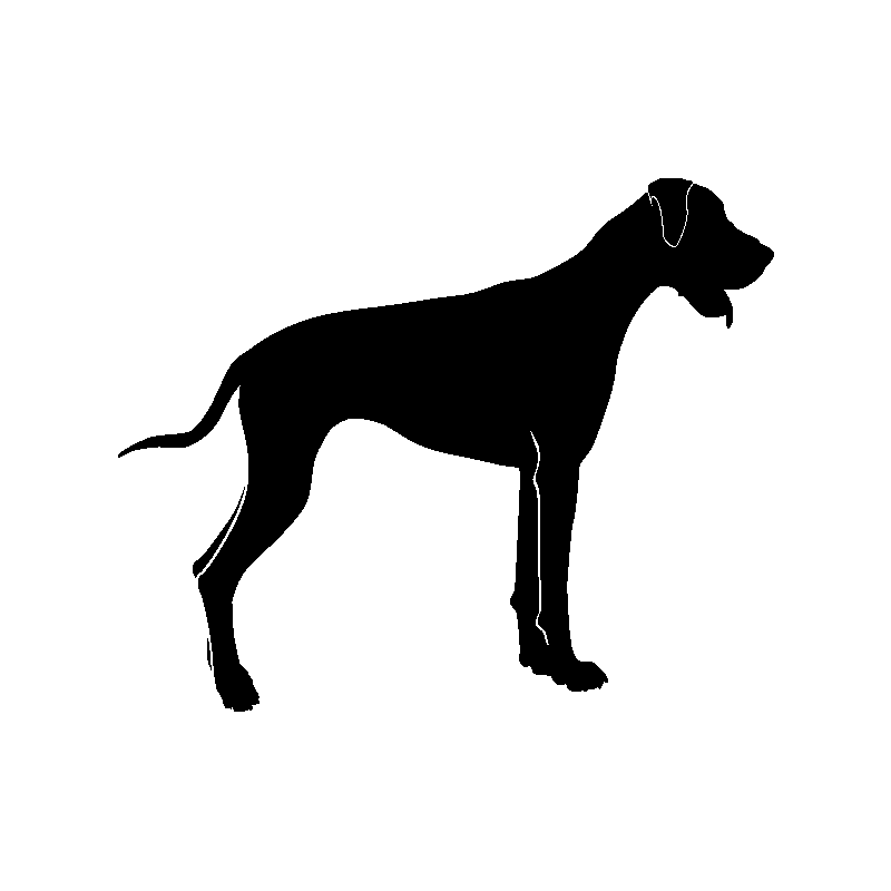 peche 5466
