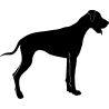 peche 5466