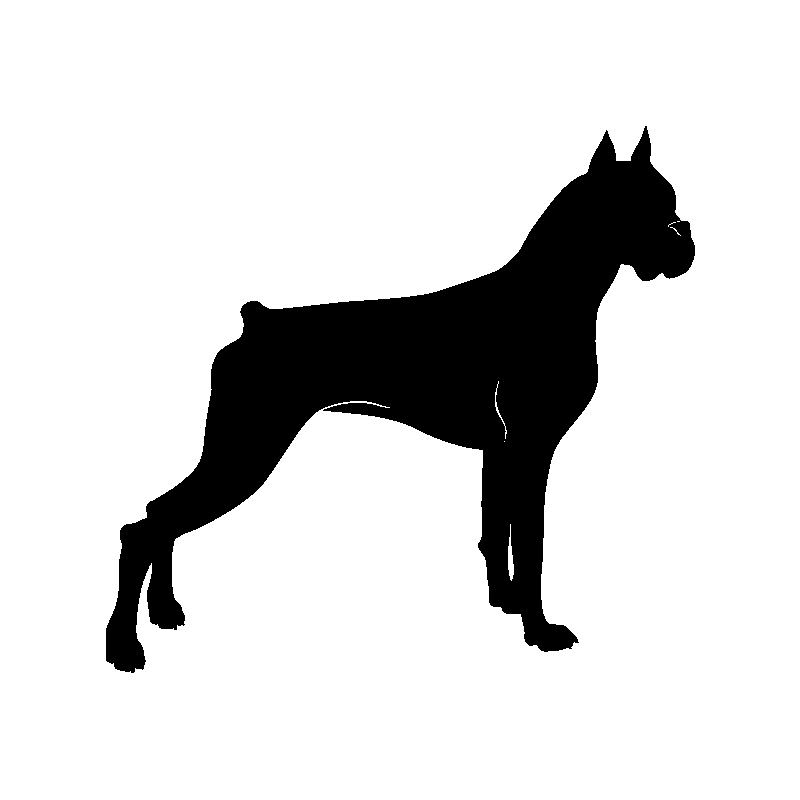 chien 5467