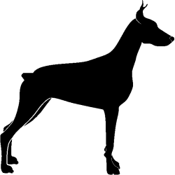 chien 5468