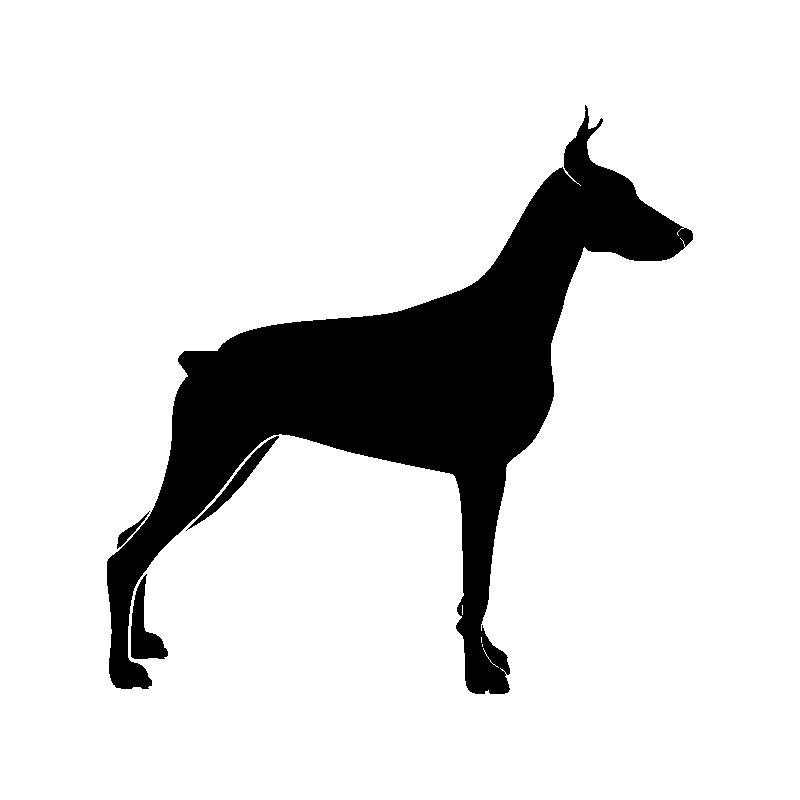 chien 5468