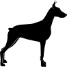 chien 5468
