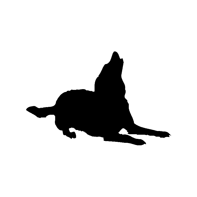 chien 5469